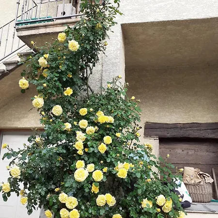 De Caractere Appartement *